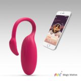 Вибраторы оригинальные Smart-вибратор Flamingo